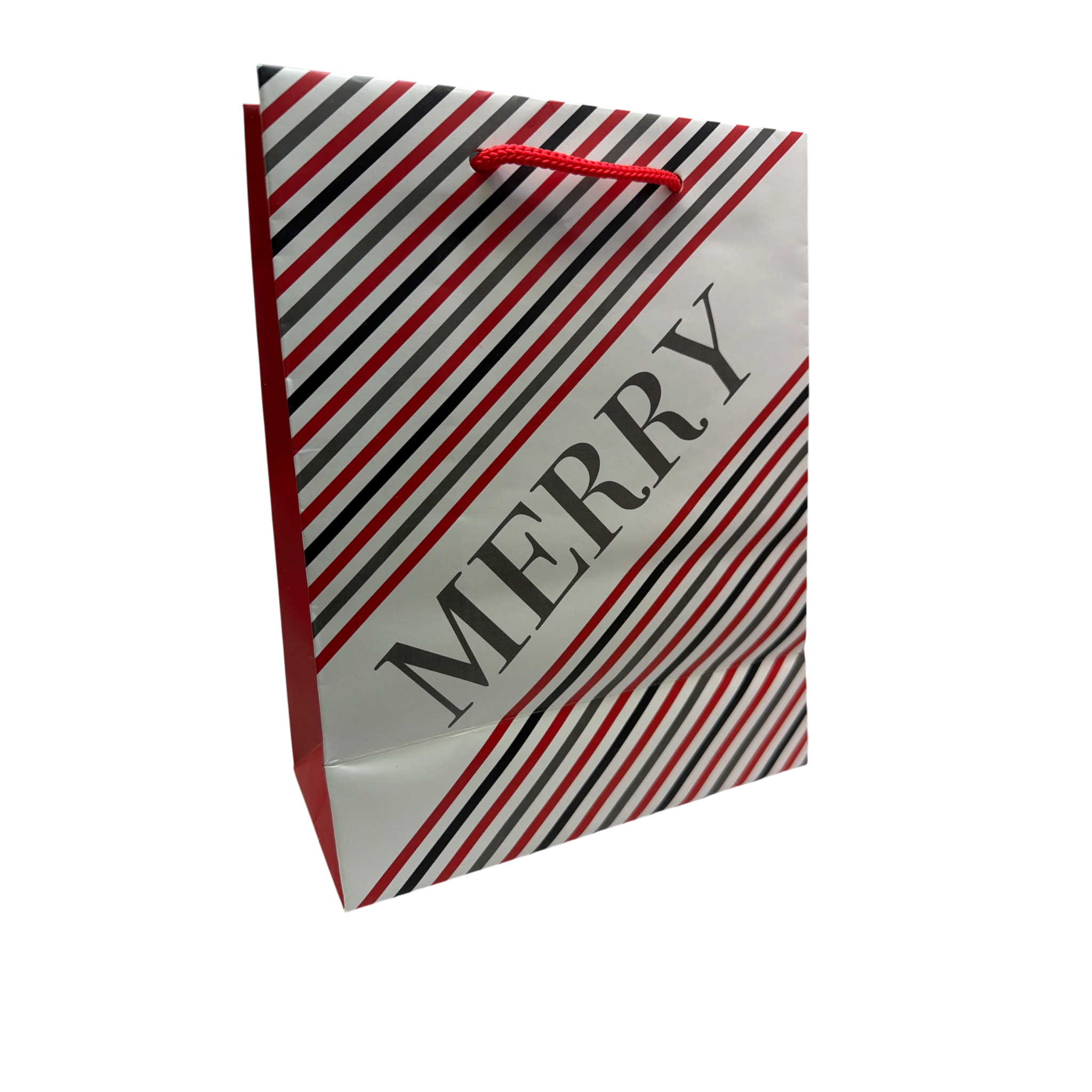 Medium Gift Bag With Tissue - Merry