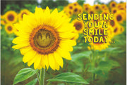 Sending You A Smile Today   - Encouragement Card