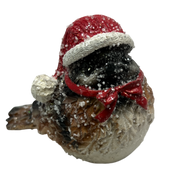 Jolly Winter Whistler