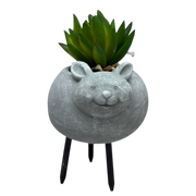Faux Yellow / Green Succulent In Planter - Mouse