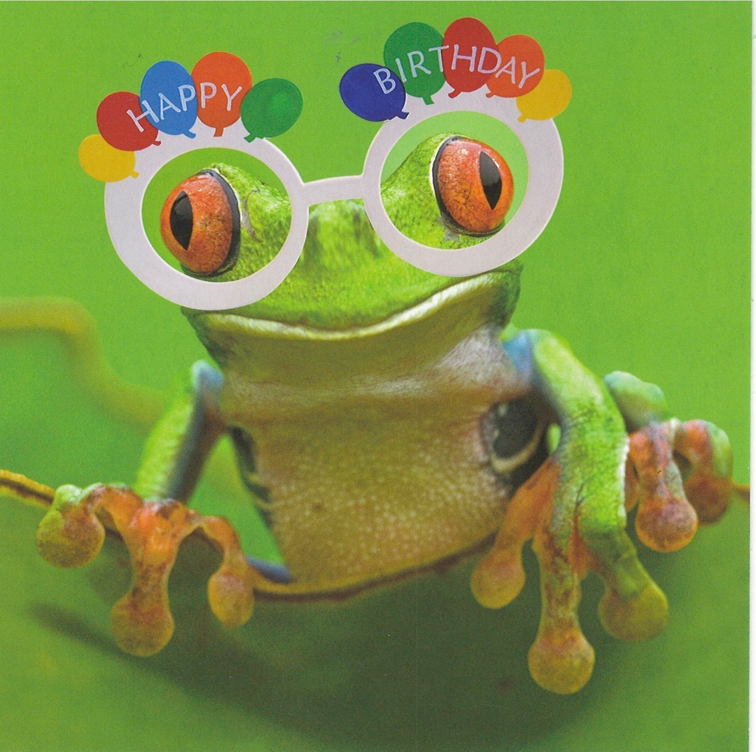 Hoppy Birthday Card  - Birthday Card