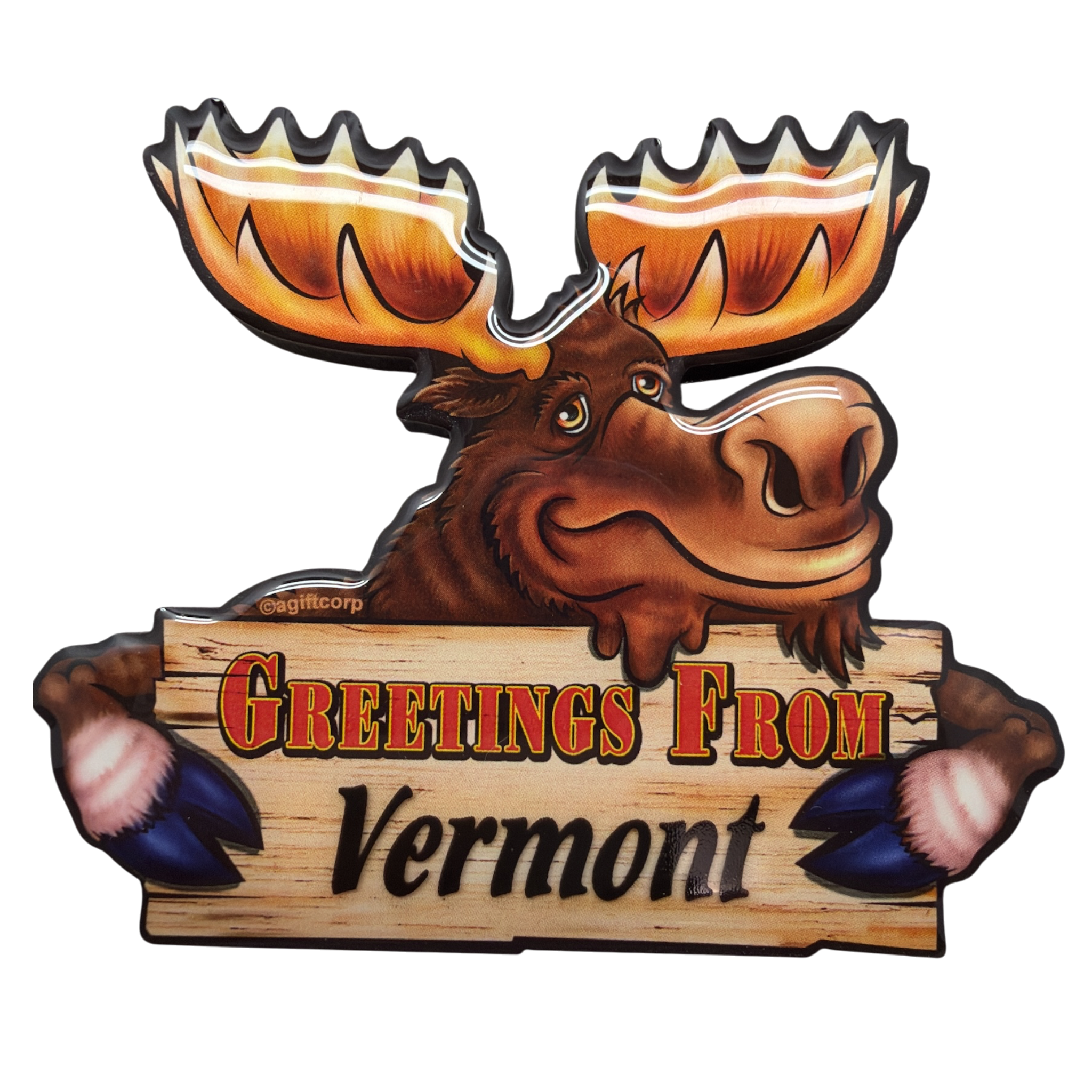 Greetings From Vermont Moose  Magnet