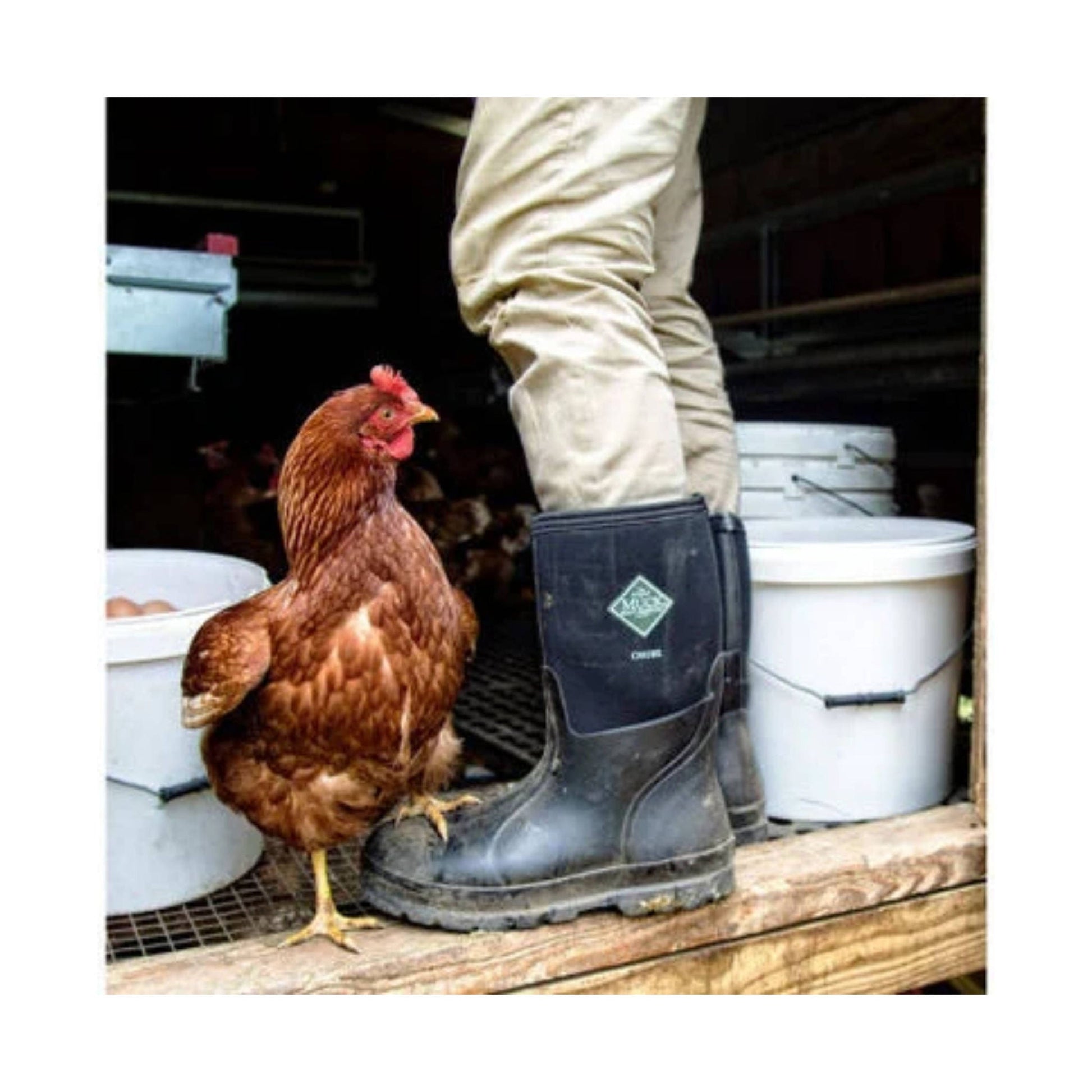 Muck Boot Men's Chore Classic Mid Plain Toe Work Boot - Black by Lenny's Shoe & Apparel