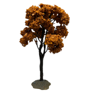 Yellowwood Tree, Large