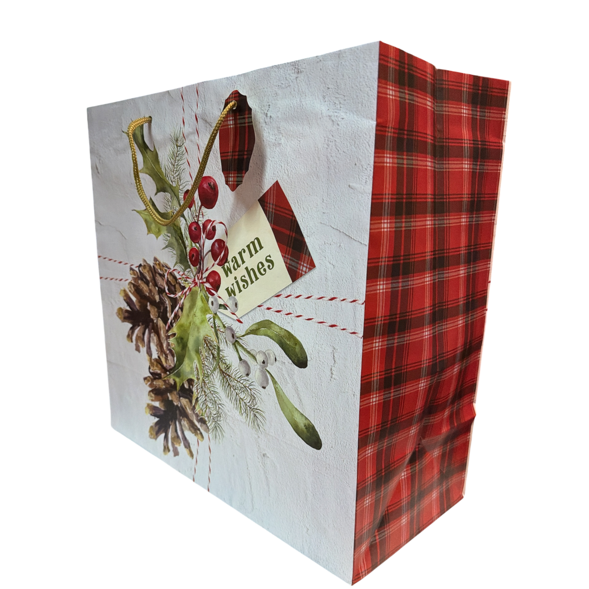 Jumbo Square Gift Bag - Botanical