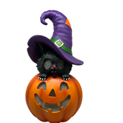 Cat On Pumpkin  With Moving Digital Eyes