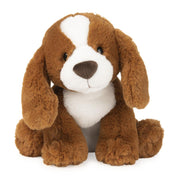 Kian Spaniel Puppy