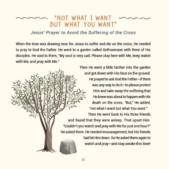 A Year of Bible Stories and Prayers: A Treasury of 96 Best-Loved Stories from God's Word