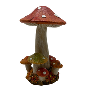 Dark Orange Harvest Mushrooms