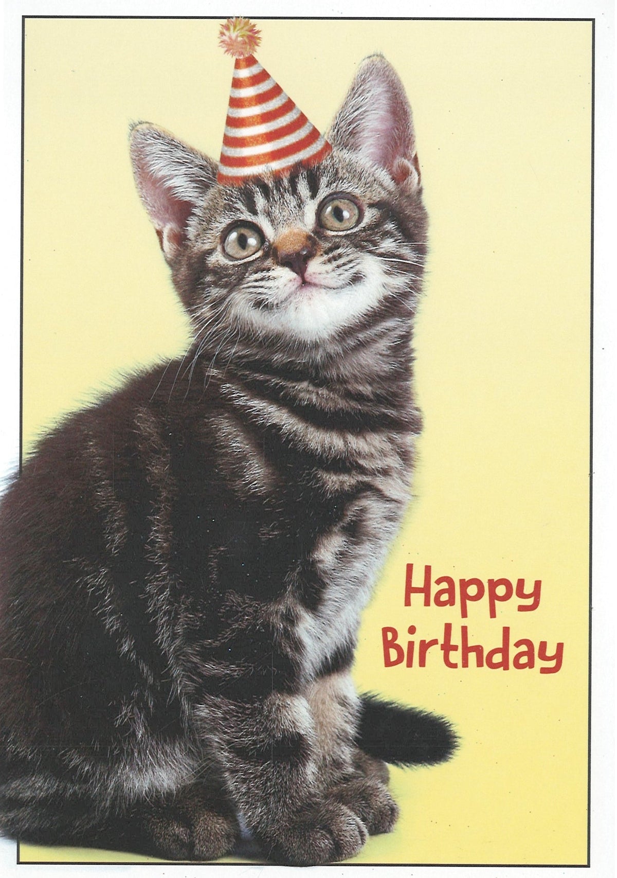 From The Cat - Birthday Card