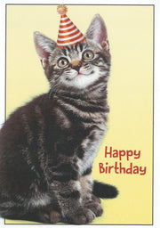 From The Cat - Birthday Card