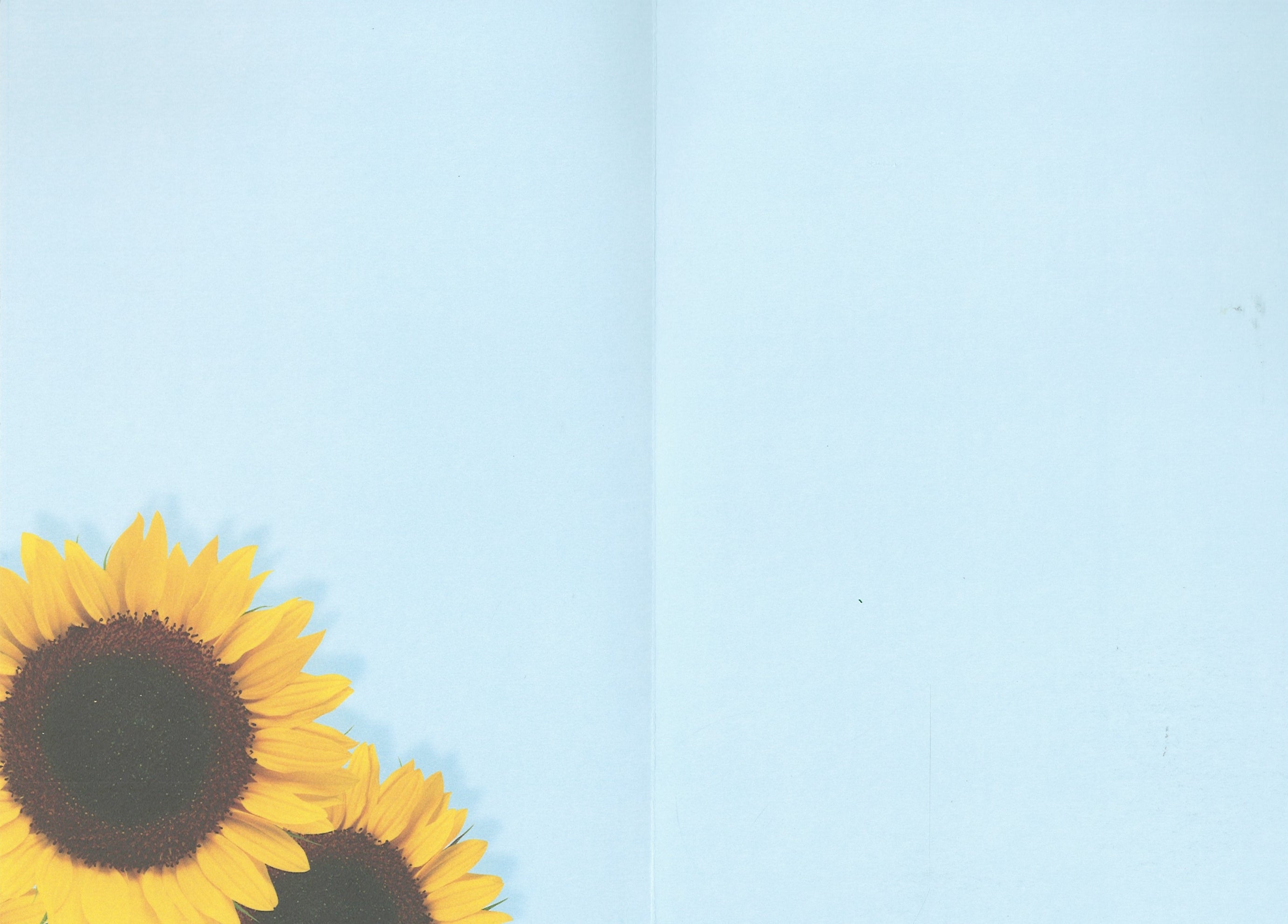 Sunflower Barn Greeting Card  -  Blank Card