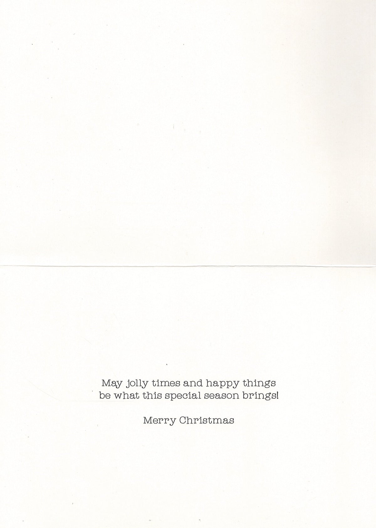 Merry and Bright Holiday Beverage Country Christmas Card Collection