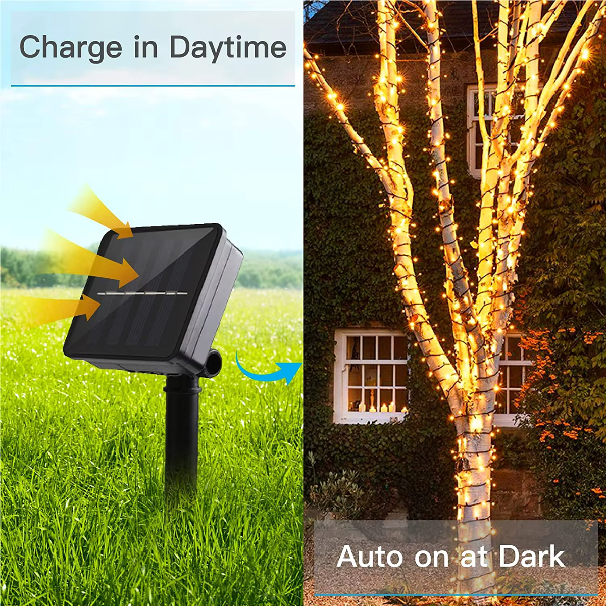 Solar String Lights (Warm White)