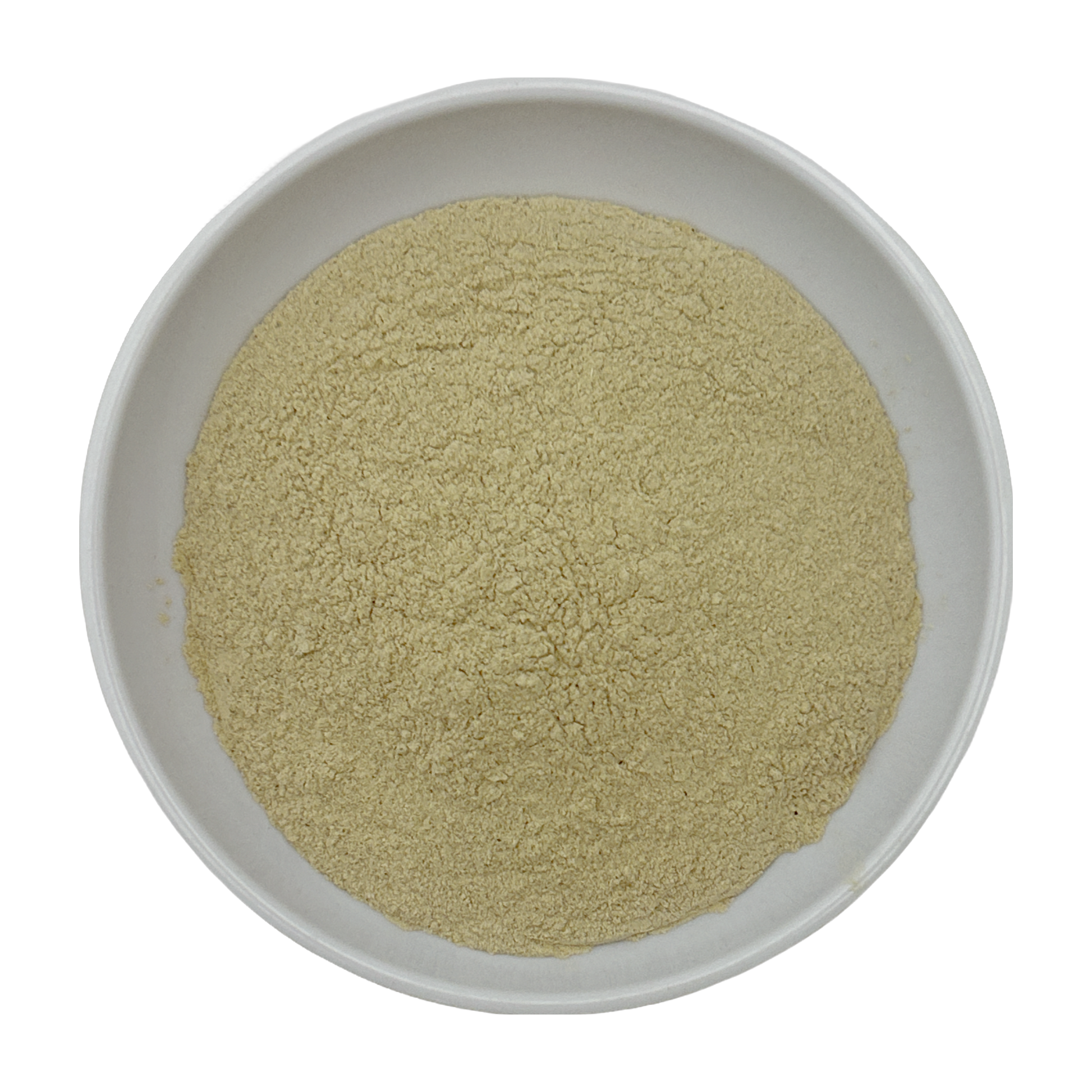Burdock Powder
