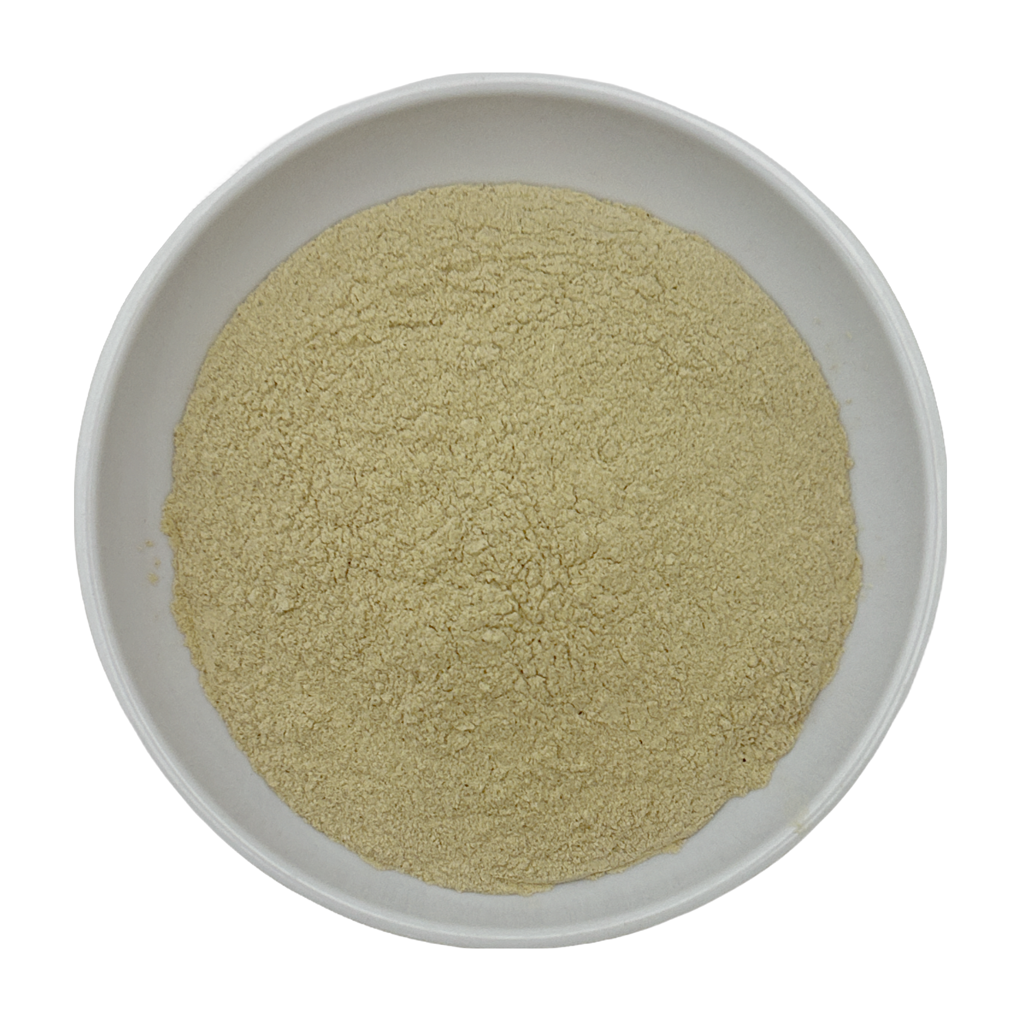 Burdock Powder
