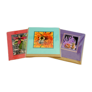 Near/Sight Images Gift Enclosure Cards