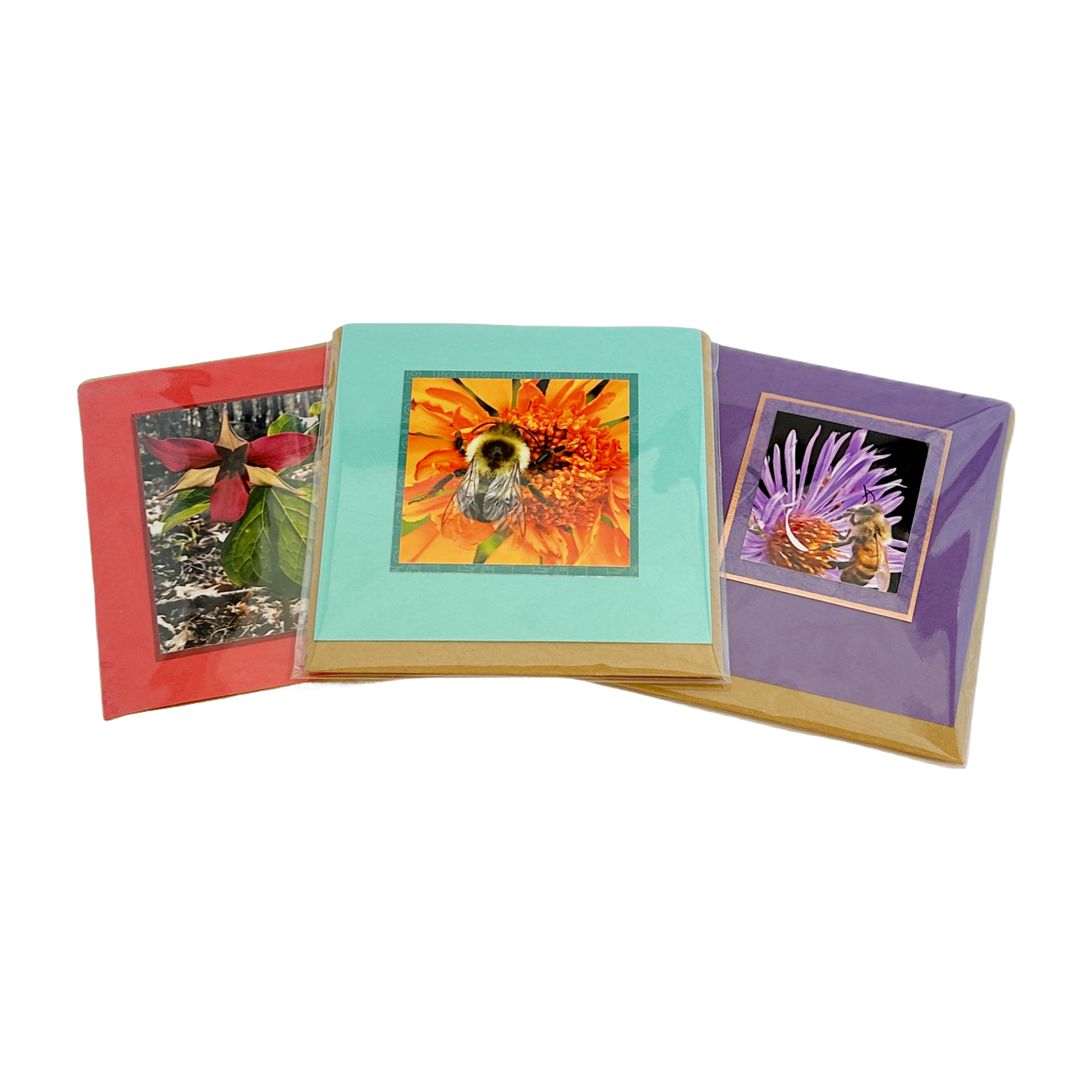 Near/Sight Images Gift Enclosure Cards