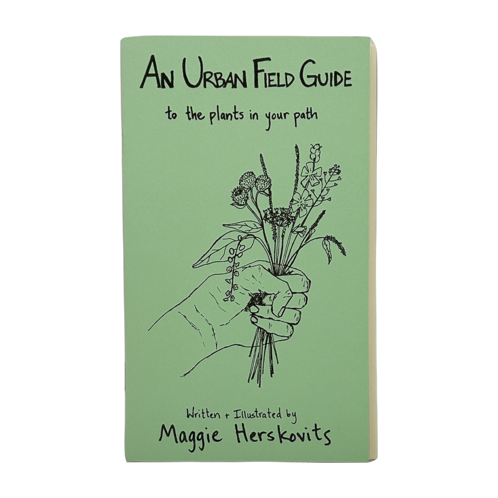 An Urban Field Guide to the Plants in Your Path zine by by Maggie Herskovits