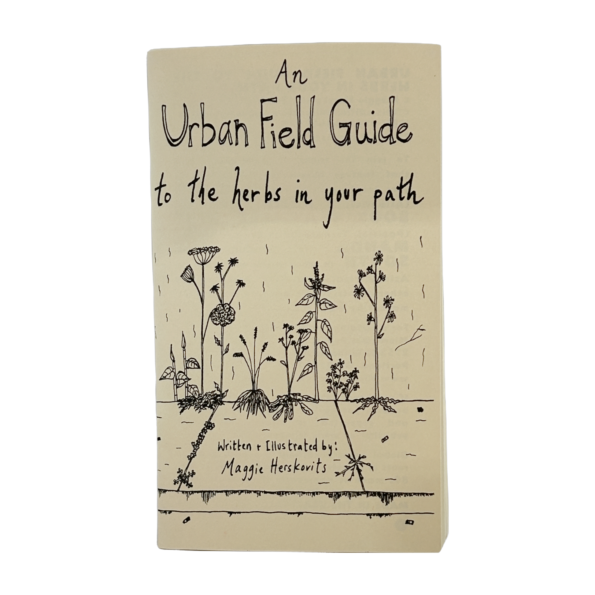 An Urban Field Guide to the Herbs in Your Path
