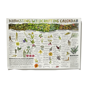 Harvesting/Wildcrafting Calendar Poster