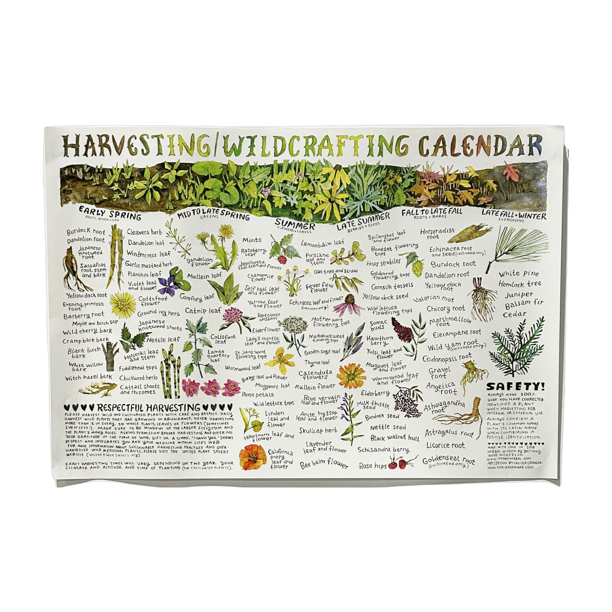 Harvesting/Wildcrafting Calendar Poster