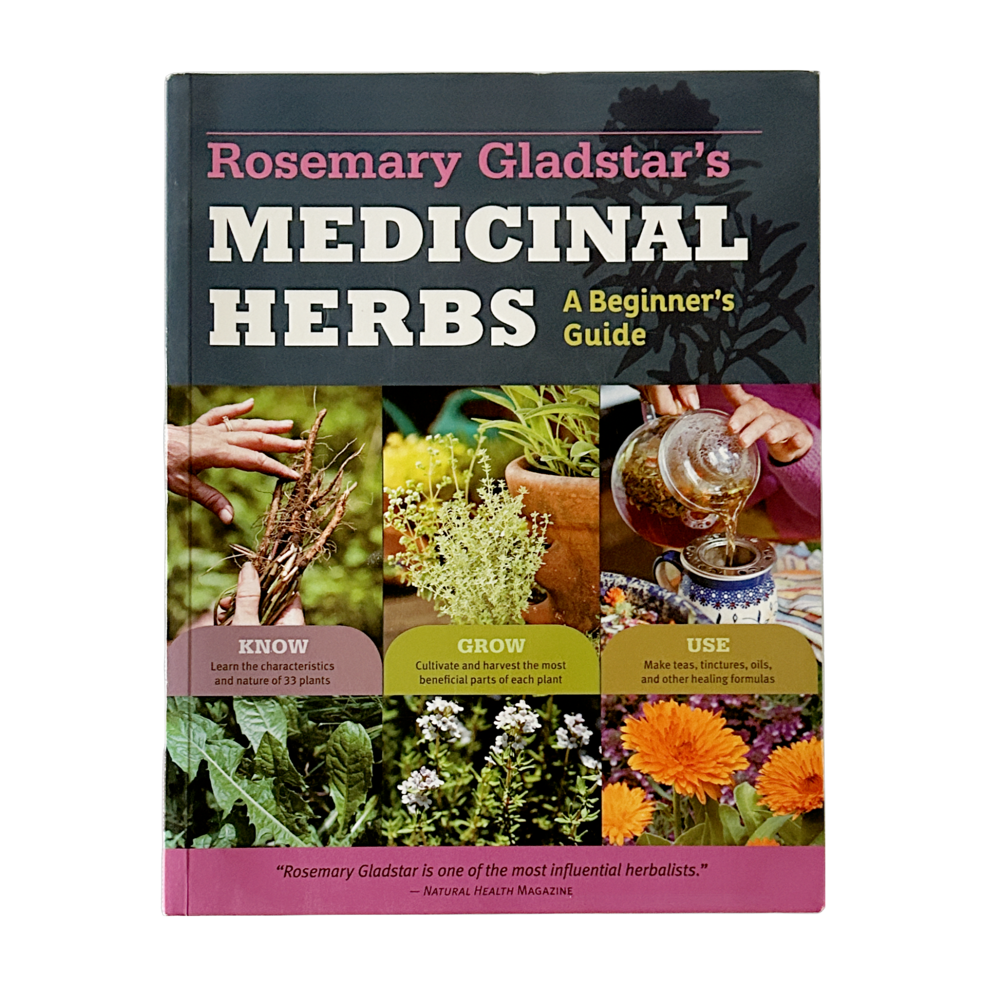 Medicinal Herbs, A Beginners Guide by Rosemary Gladstar