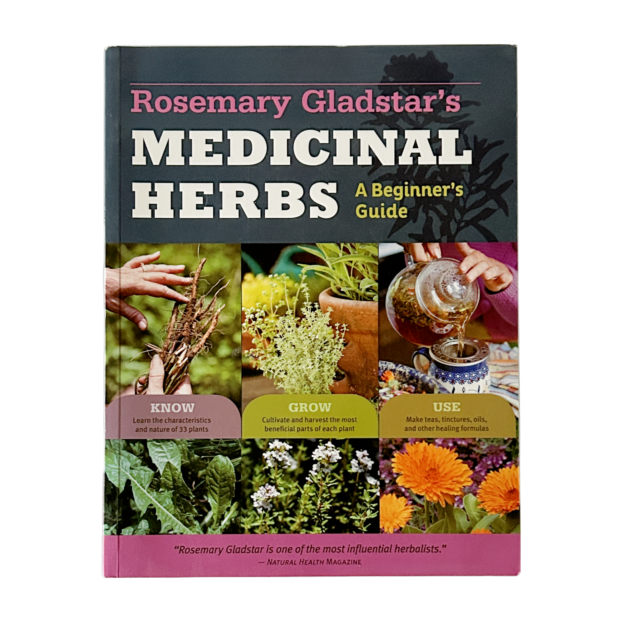 Medicinal Herbs, A Beginners Guide by Rosemary Gladstar