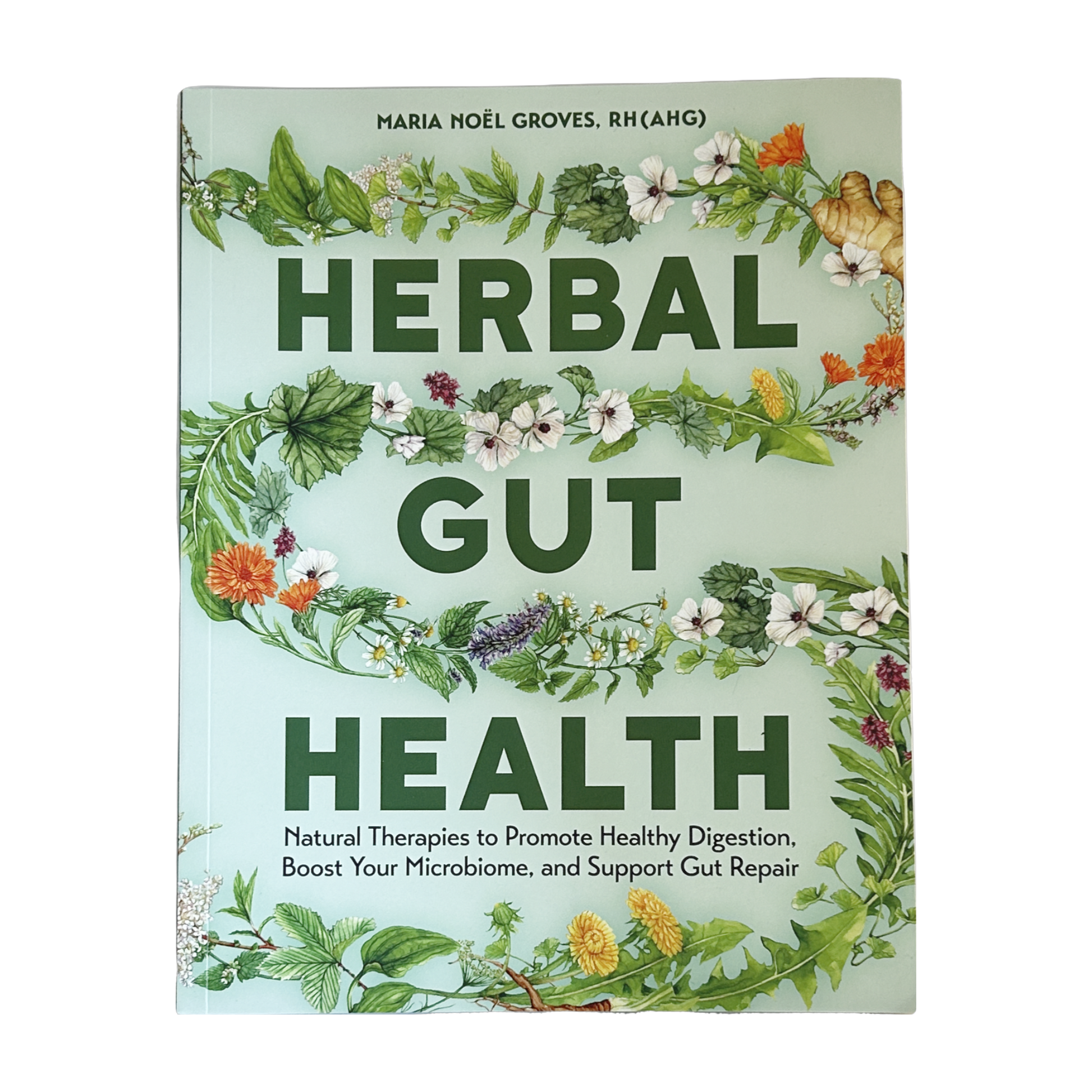 Herbal Gut Health by Maria Noel Groves