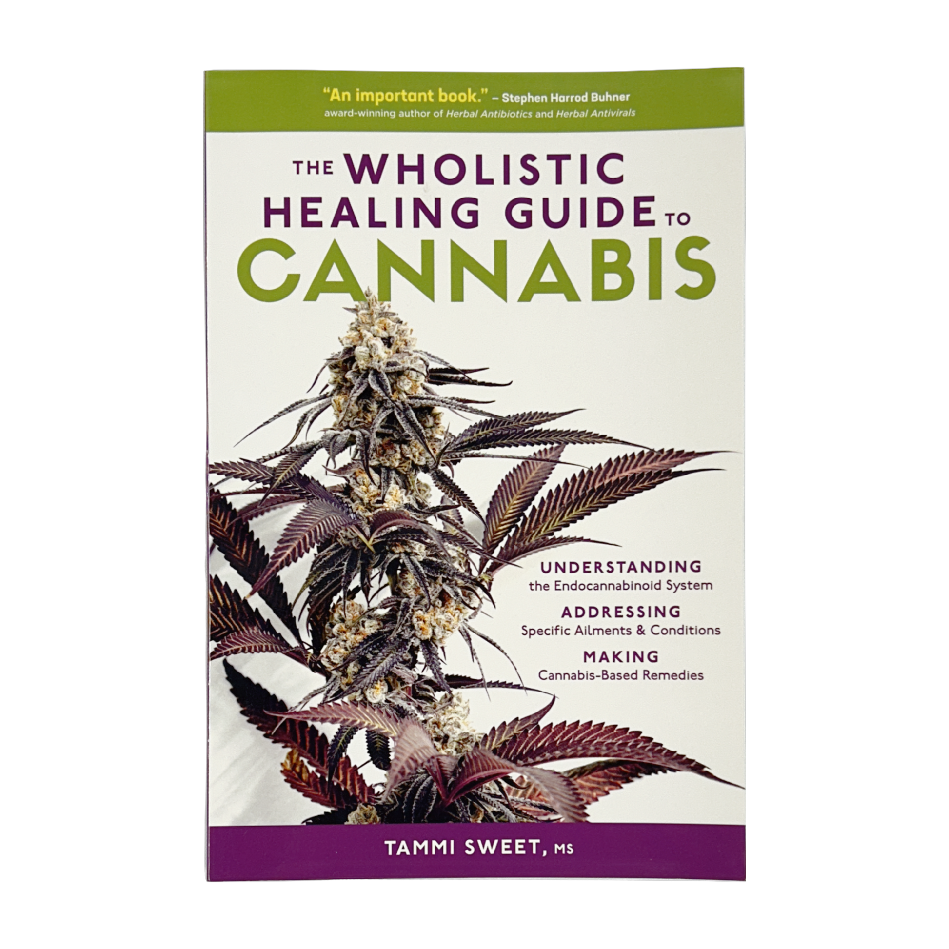 The Wholistic Healing Guide to Cannabis by Tammi Sweet