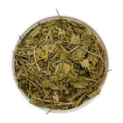 Gotu Kola