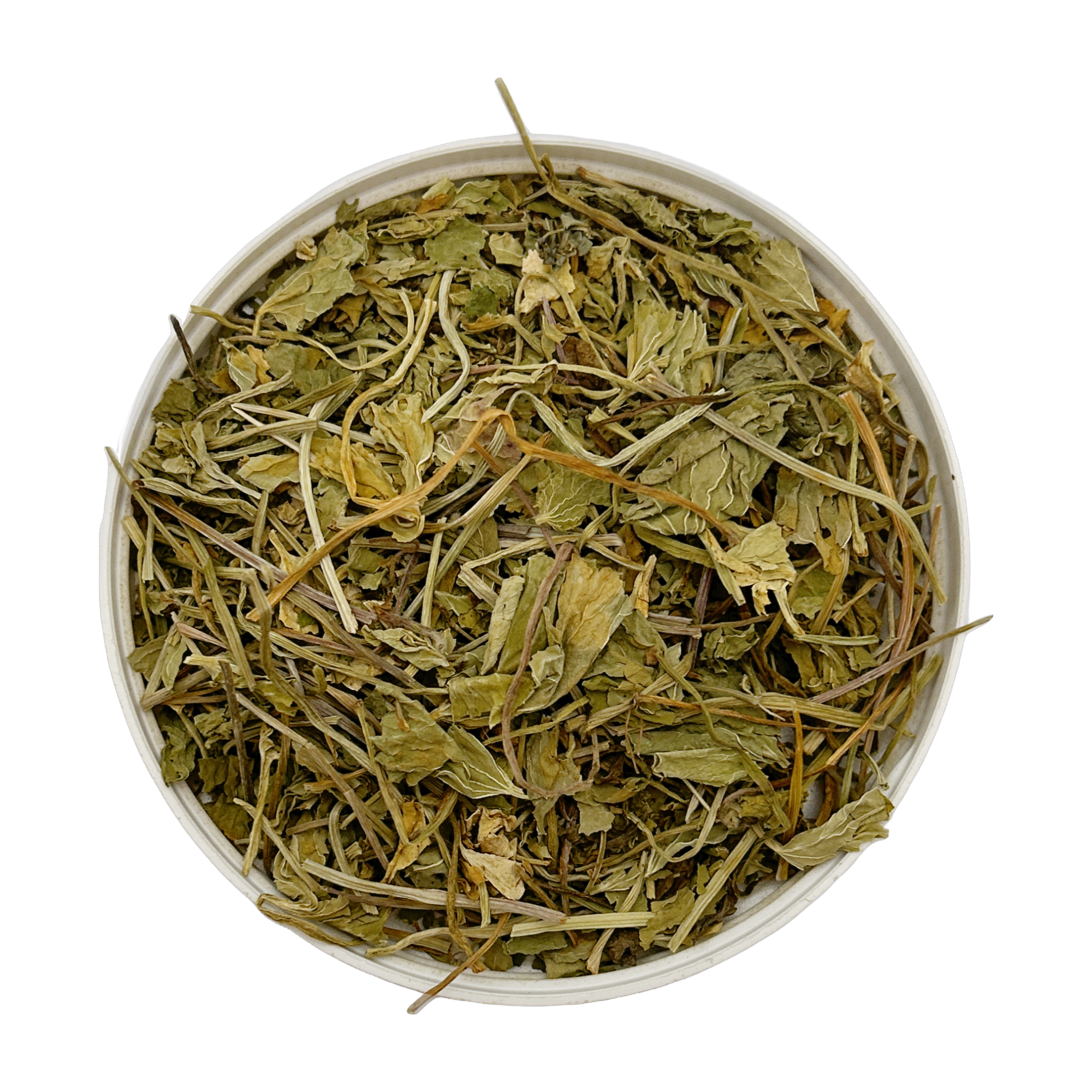 Gotu Kola