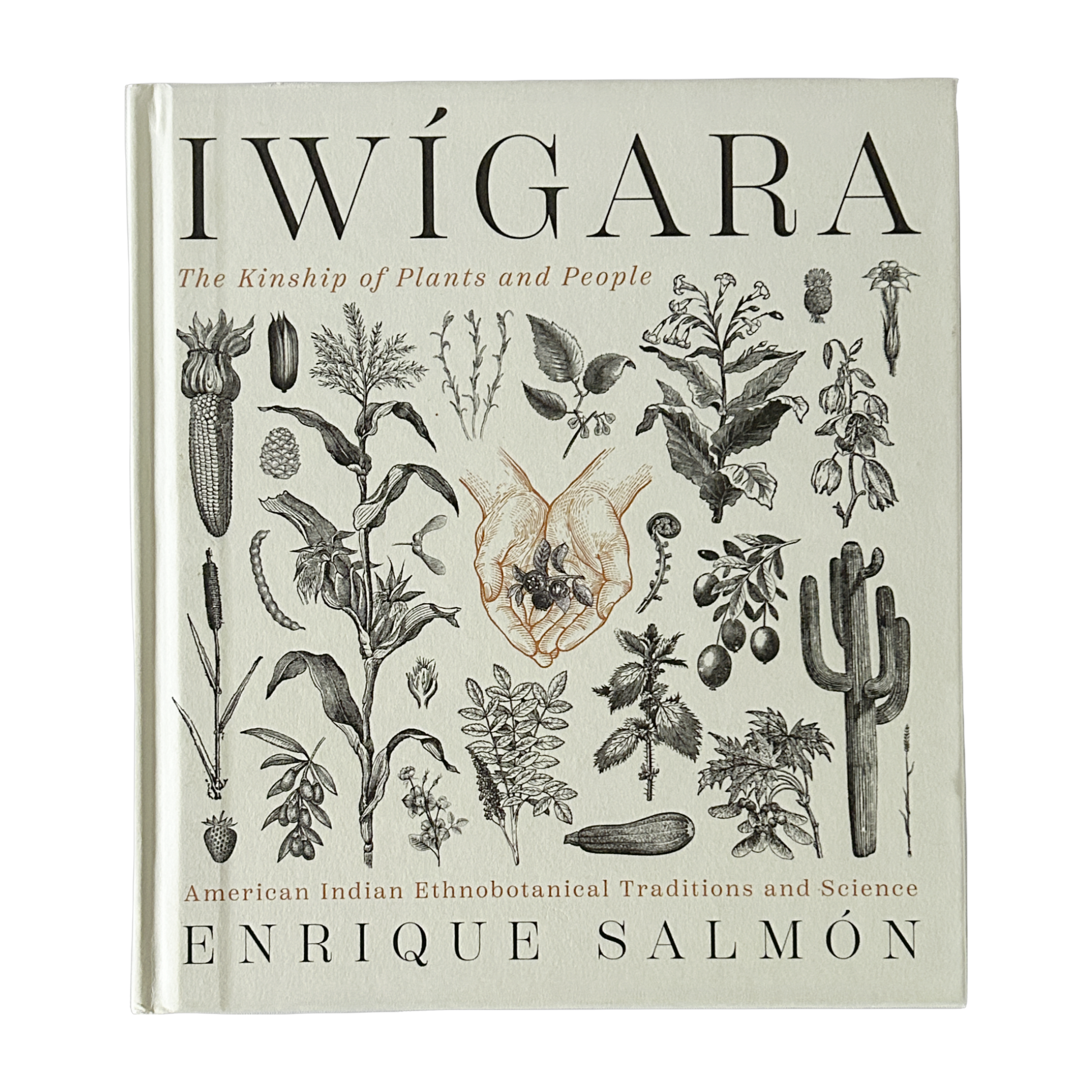 Iwigara by Enrique Salmon