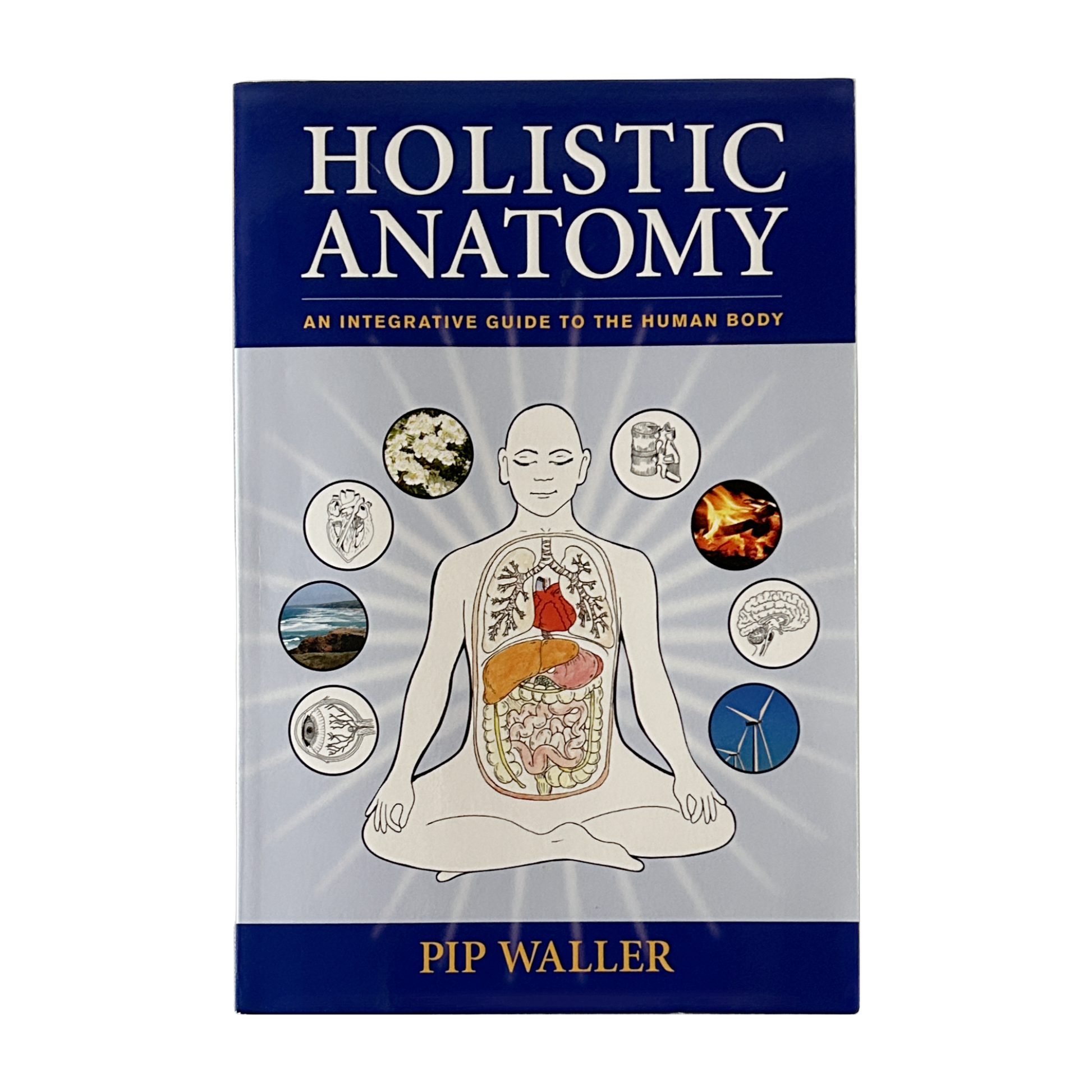 Holistic Anatomy by Pip Waller