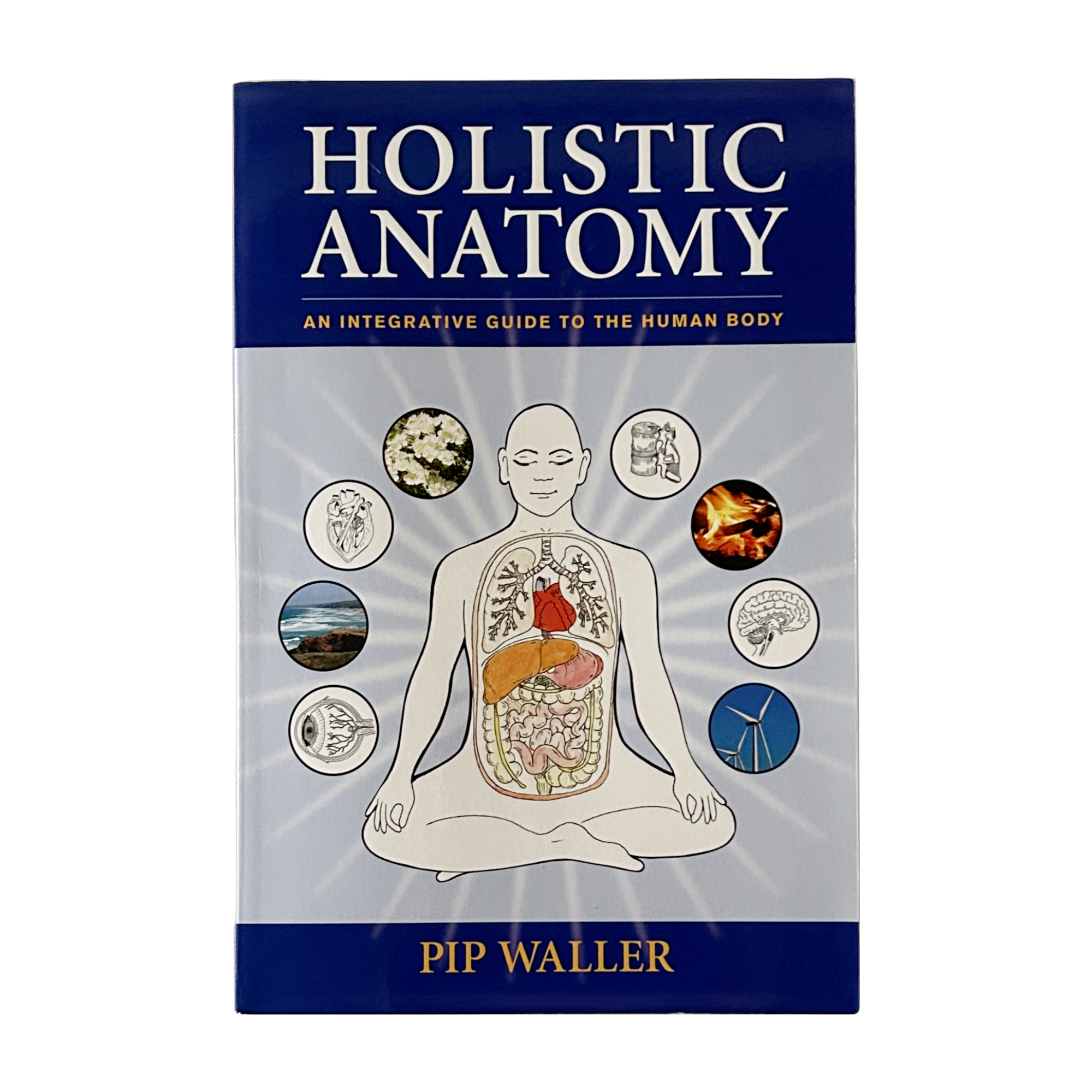 Holistic Anatomy by Pip Waller