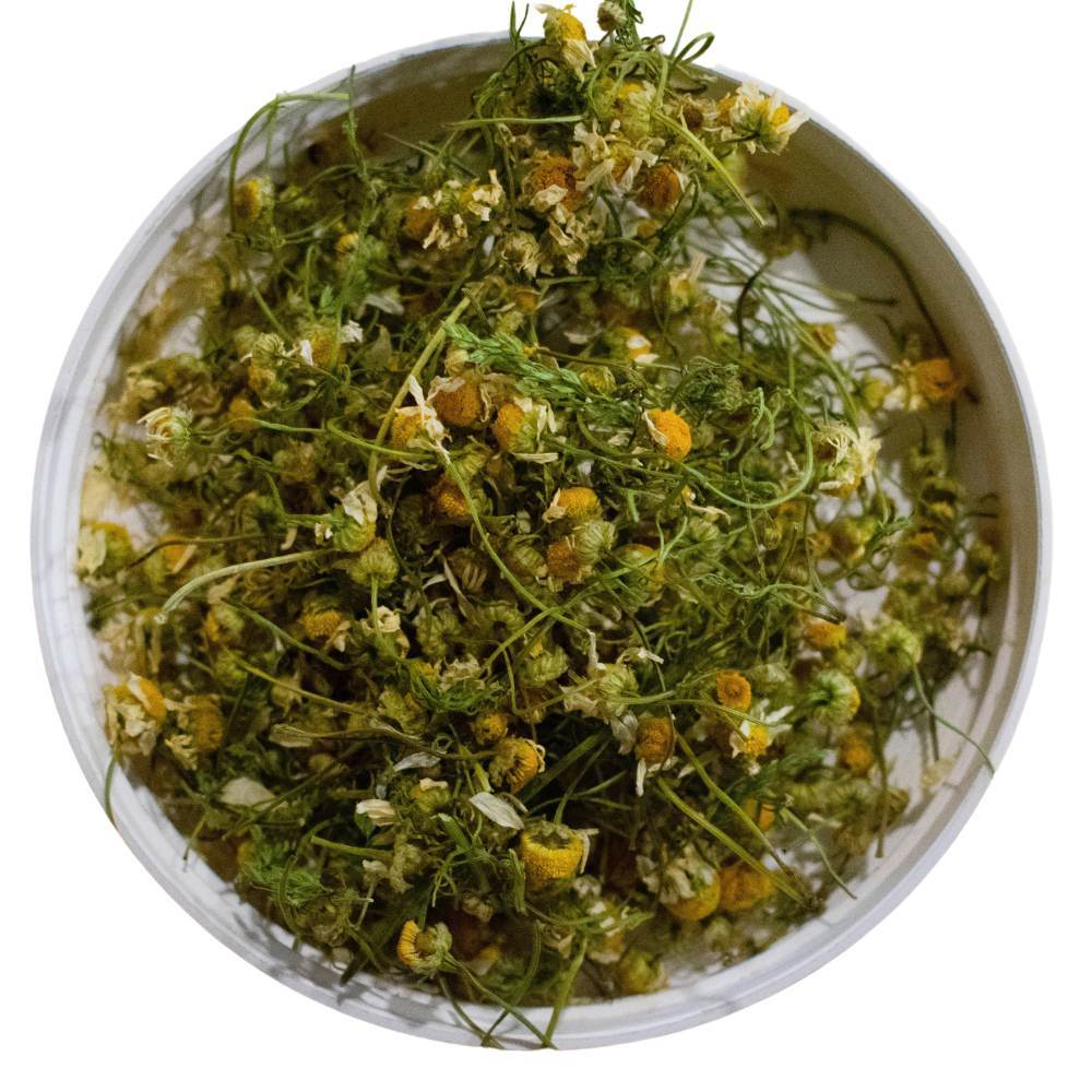 Chamomile
