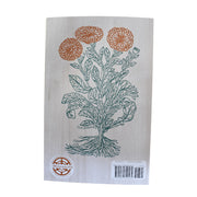 Herbal First Aid zine by Raleigh Briggs