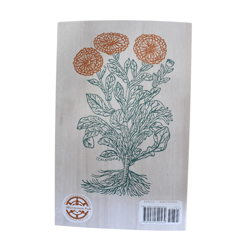 Herbal First Aid zine by Raleigh Briggs