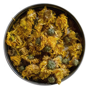 Chrysanthemum, white