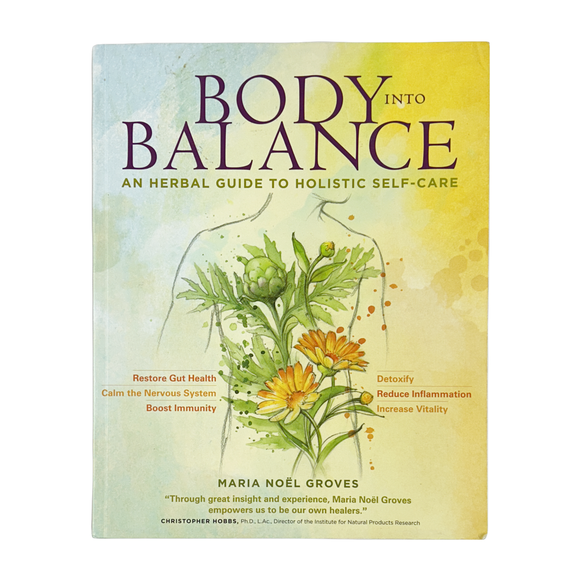 Body Into Balance by Maria Groves