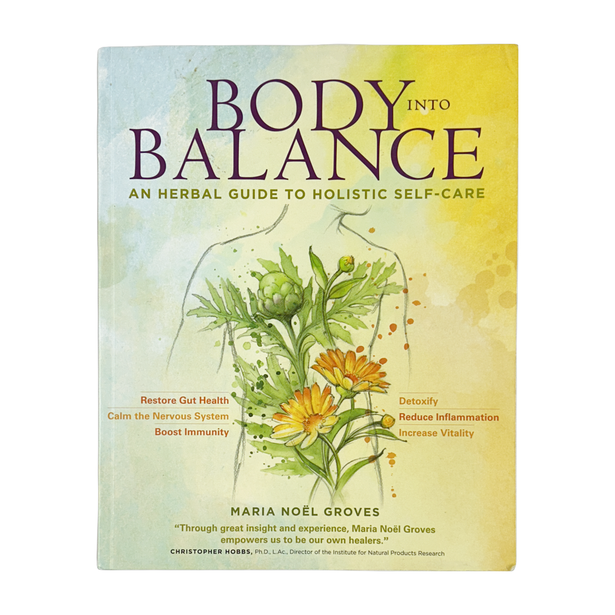 Body Into Balance by Maria Groves