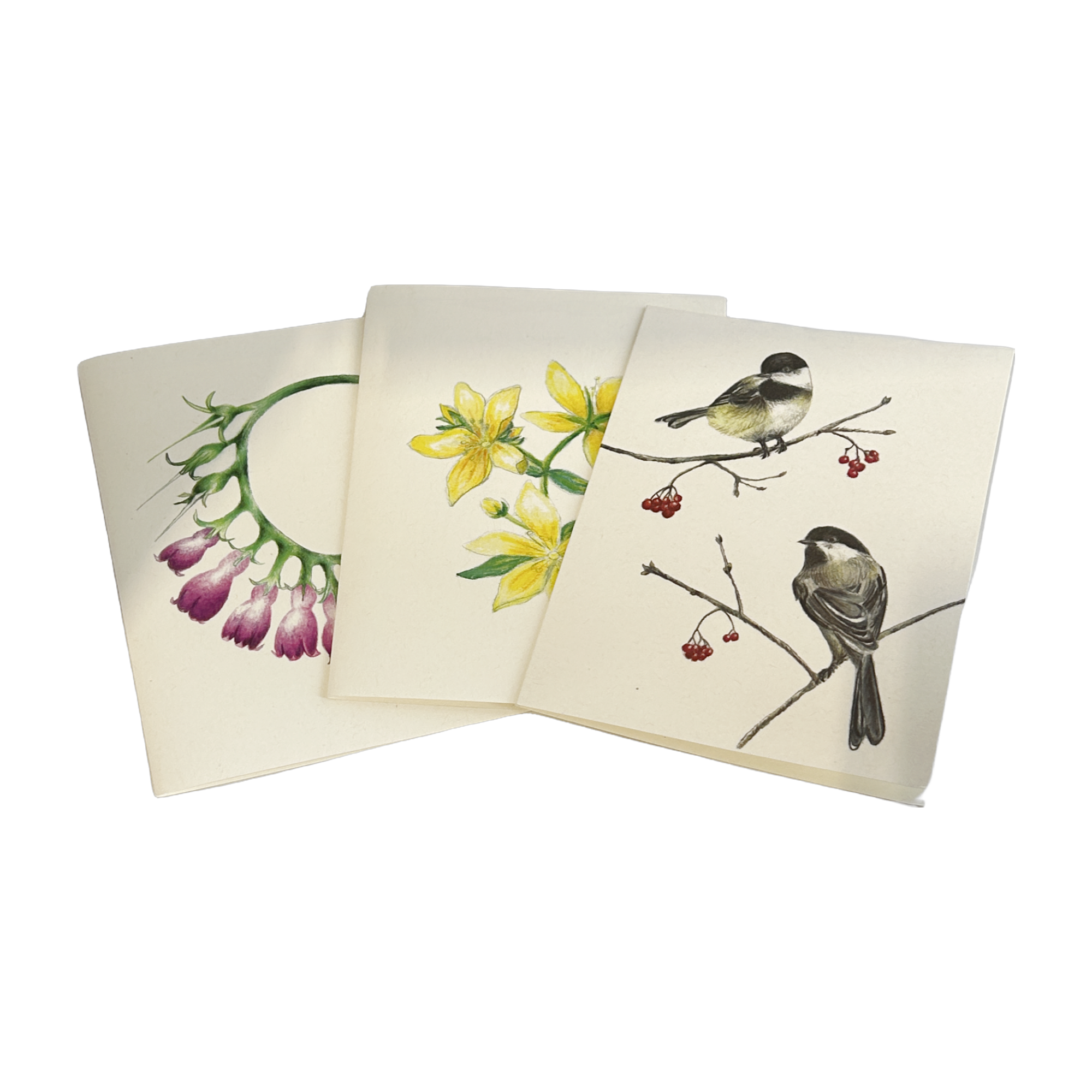 White Lotus Designs Herbal Note Cards