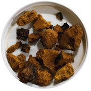 Chaga