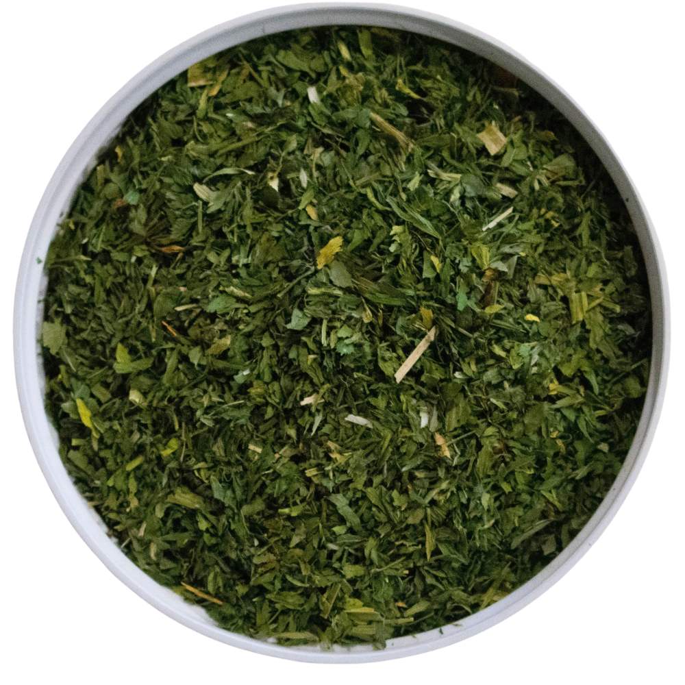 Alfalfa