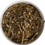 Echinacea root