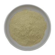 Dandelion Powder