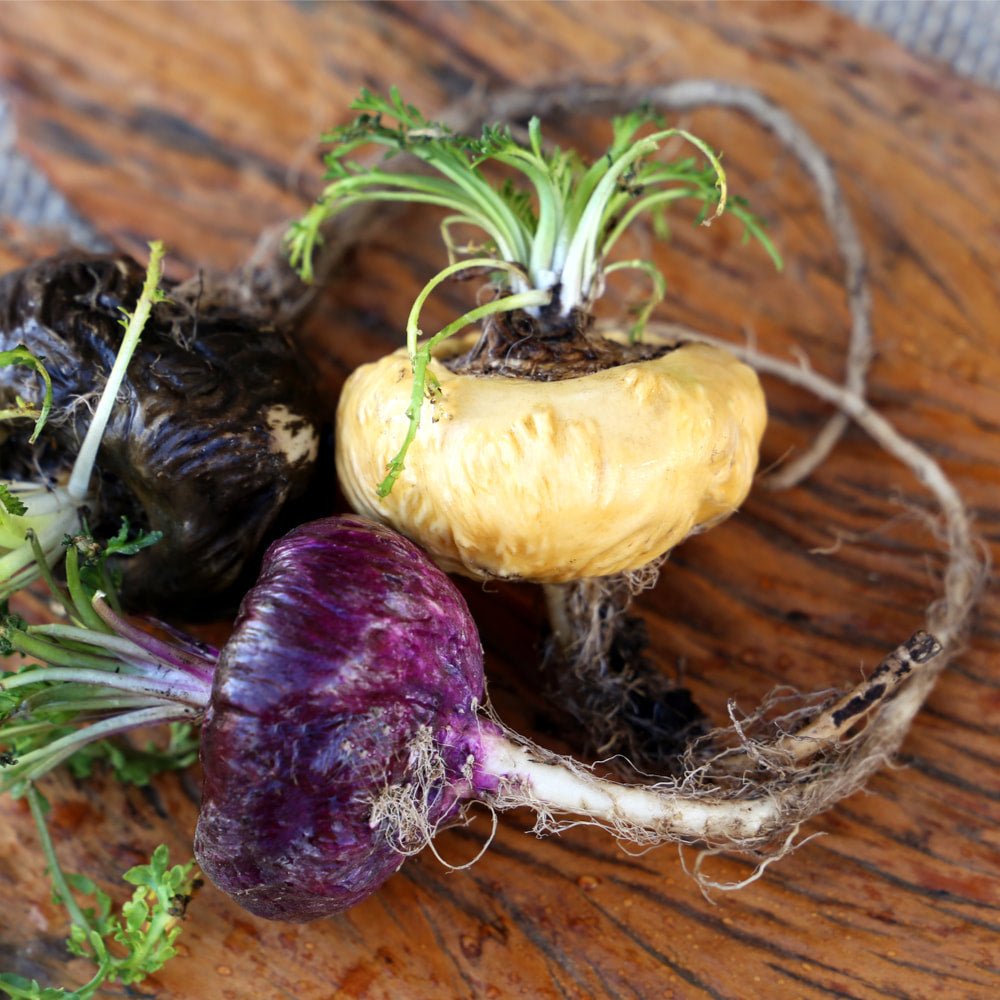 Maca Powder