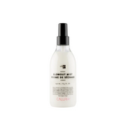 Express Blowout Mist