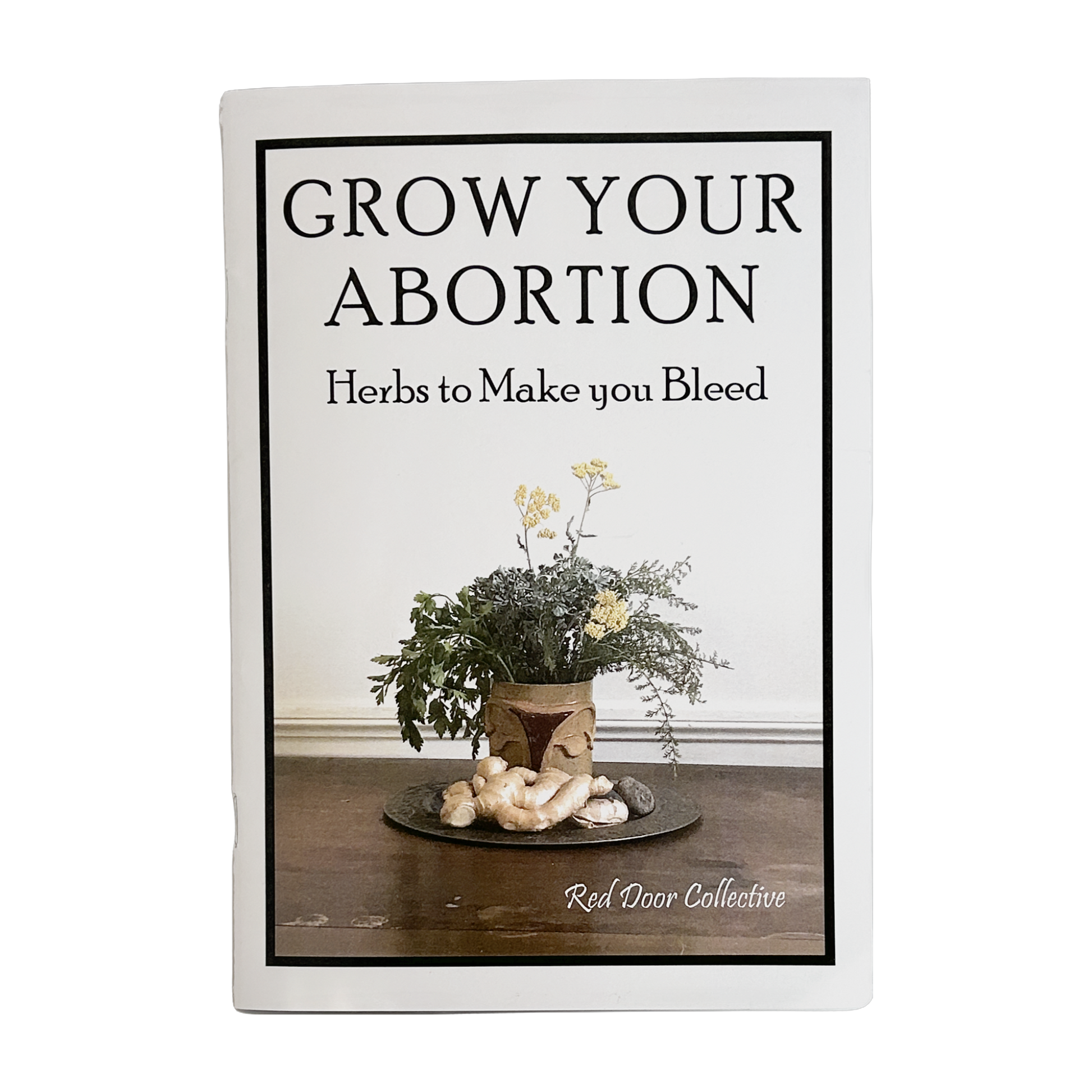 Grow Your Abortion Zine