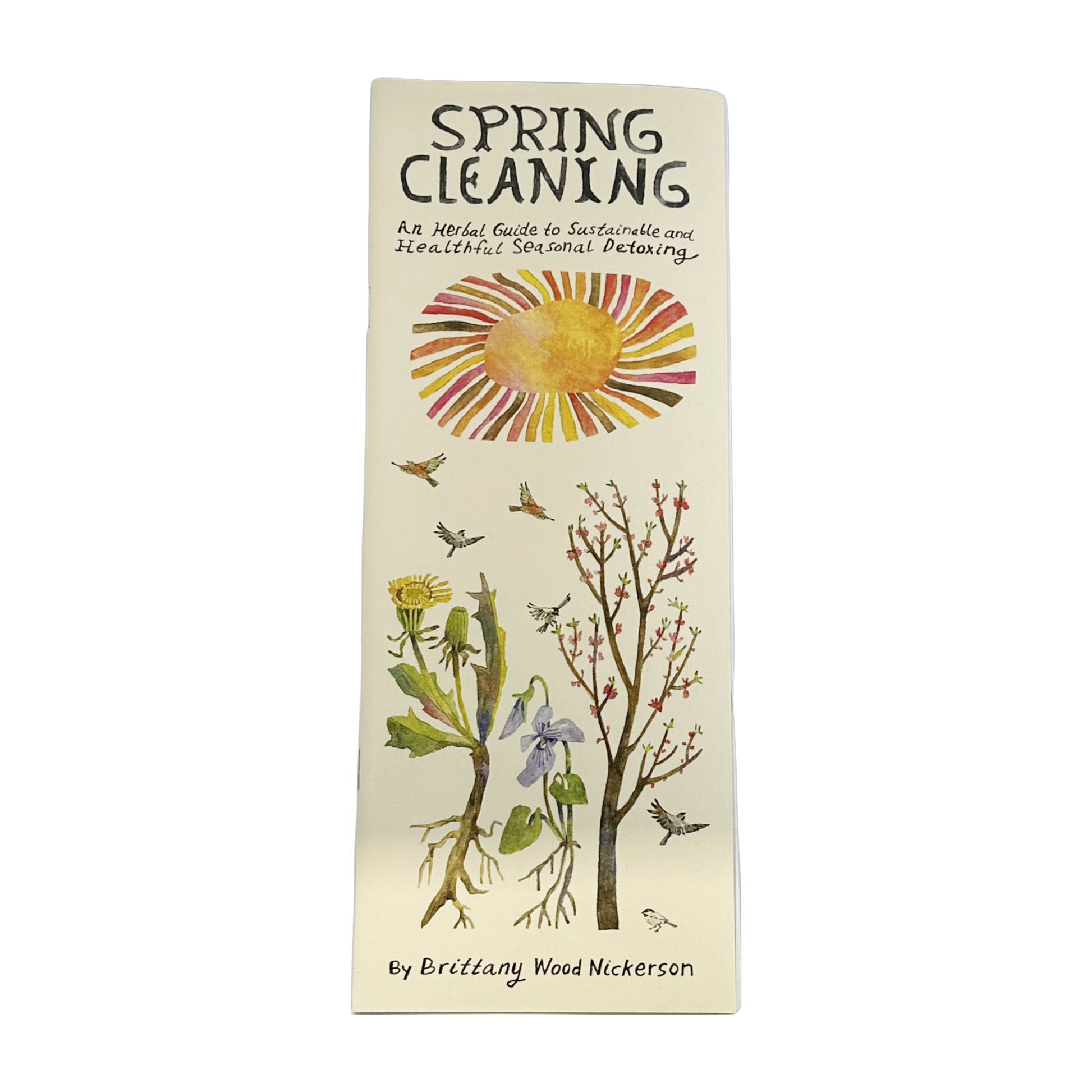 Spring Cleaning: A Herbal Guide to Sustainable and Healthful Seasonal Detoxing